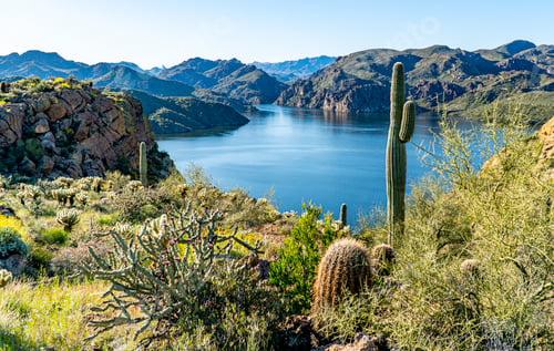 Preview: Scenic view of Saguaro Lake Arizona with Saguaro Cacti in the foreground