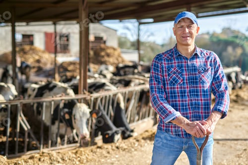 Preview: Portrait Of A Man On Livestock Ranches