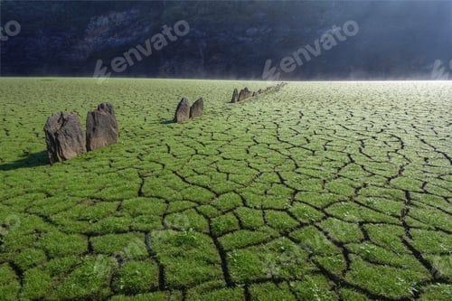 Preview: Tapestry of green grass on the cracked mud of the dry bottom of the reservoir