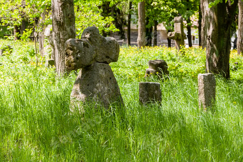 Preview: Ancient stone crosses
