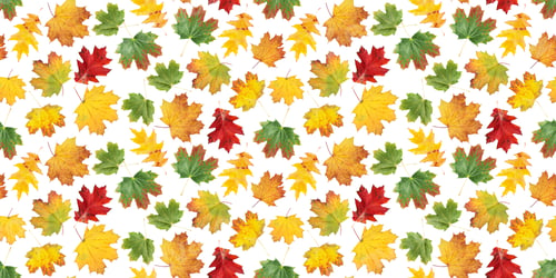 Preview: Autumn leaves seamless pattern