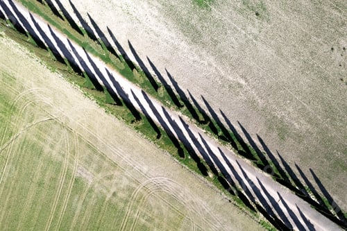 Preview: Aerial photographic documentation of a cypress road