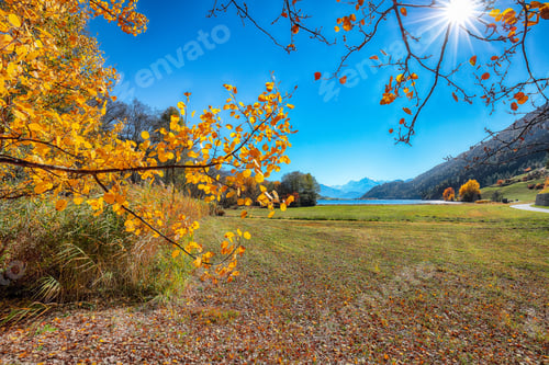 Preview: Gorgeous autumn view of Haidersee (Lago della Muta) lake with Ortler peak on background.