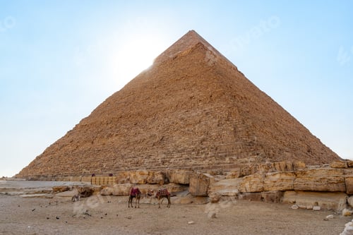 Preview: Giza Pyramids under a clear sky with camels grazing in the foreground during midday