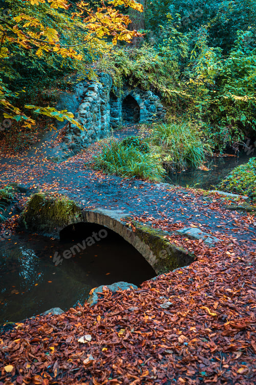 Preview: Vertical shot of a small bridge over a stream in a forest covered in dried leaves in autumn