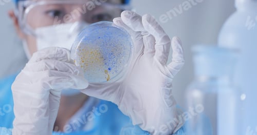 Preview: Medical research student using a laboratory pipette and petri dish
