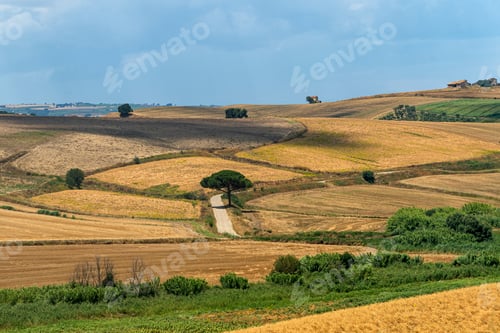 Preview: Rural landscape near Serracapriola, Apulia, Italy