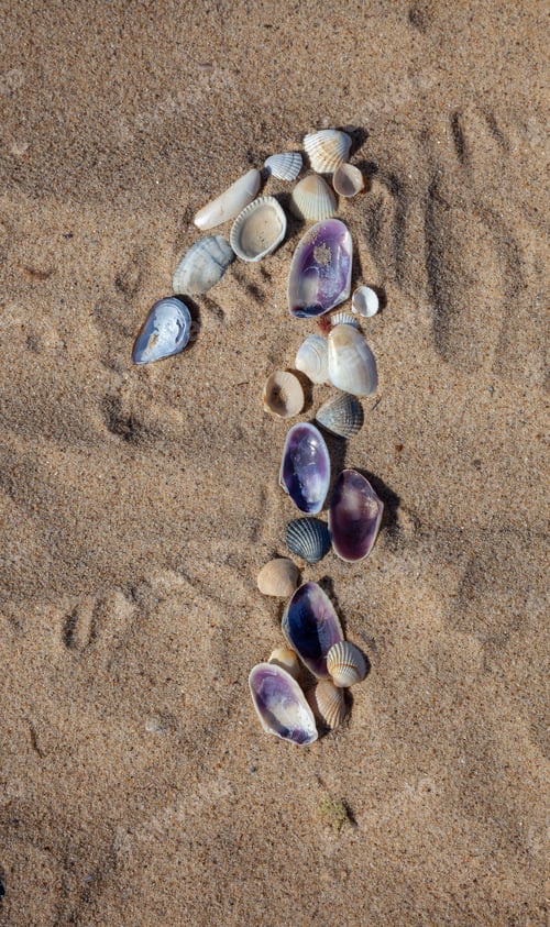 Preview: Number 1 laid out from seashells on the sand. Marine background. The symbol is one. Shells. Copy