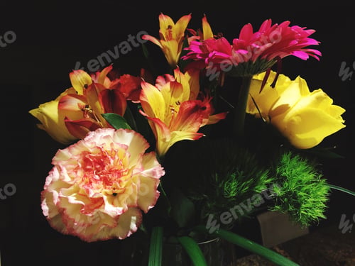 Preview: Colorful nature