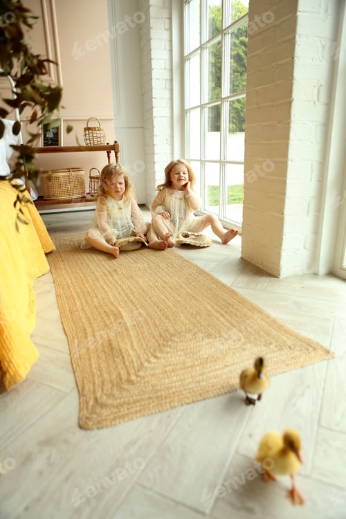 Preview: little twin sisters and two yellow ducklings