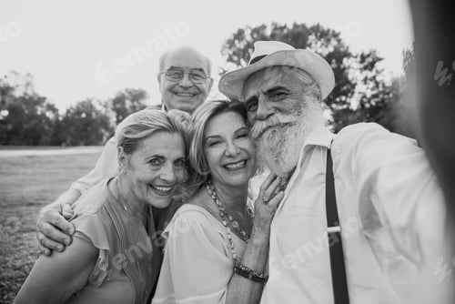 Preview: Group of seniors making a picnic at the park and having fun