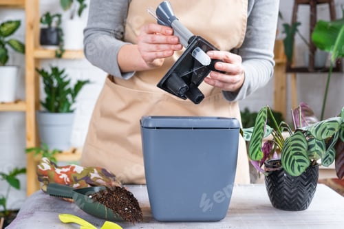 Preview: Pot for plants with automatic watering, transplanting Calathea into a double pot, watering from a wa