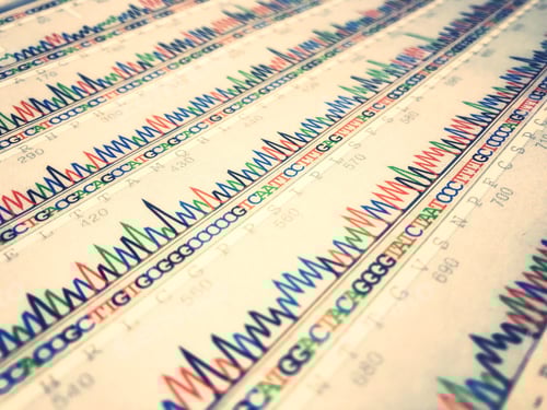 Preview: Data sheet of DNA sequence