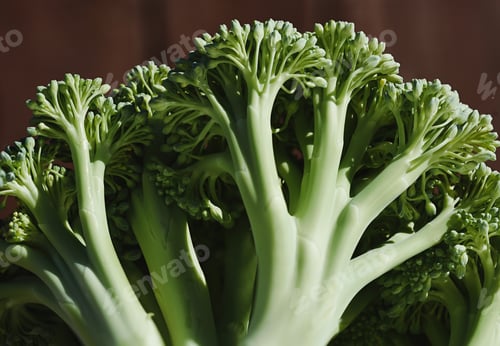Preview: Broccoli inflorescences very close-up Green vegetable, natural background