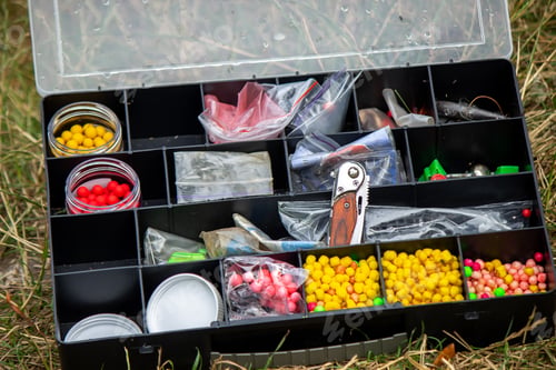 Preview: Fishing tackle on the river bank, bait rod, spinning rod, fish. Selective focus