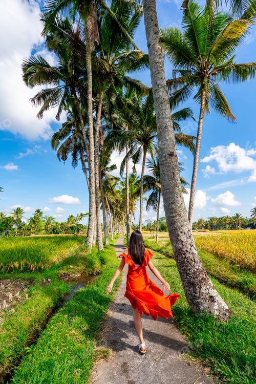 Preview: Young female tourist in red dress looking at the beautiful rice terrace in Bali, Indonesia