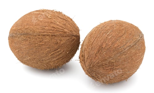 Preview: Coconuts isolated on white background