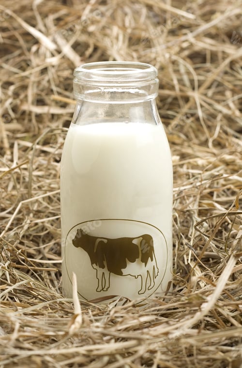 Preview: Vertical shot of a glass bottle of fresh milk in the hay
