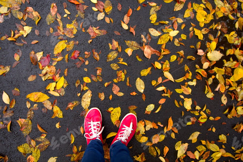 Preview: top view red sneakers on a yellow autumn leaves background