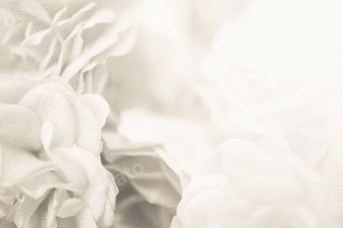 Preview: Classic Color Roses In Soft And Blur Style On Mulberry Paper Texture For Romantic Background