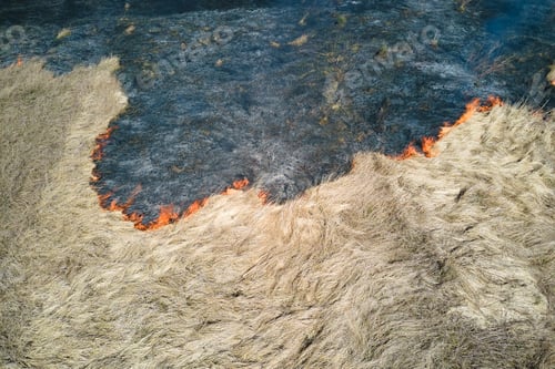 Preview: Aerial view of grassland field burning with red fire during dry season.
