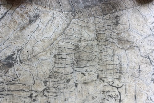 Preview: Aged cracked concrete stone plaster wall background and texture style