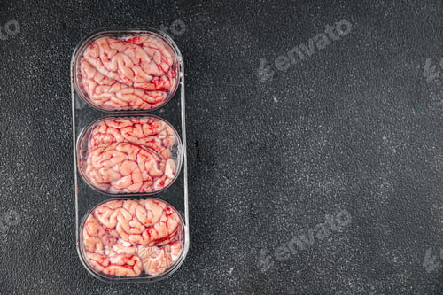 Preview: pork brains raw edible offal meat fresh food tasty fresh healthy eating cooking appetizer meal food