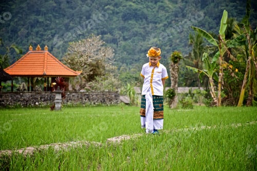 Preview: A European boy in traditional Balinese clothing stands in a rice field