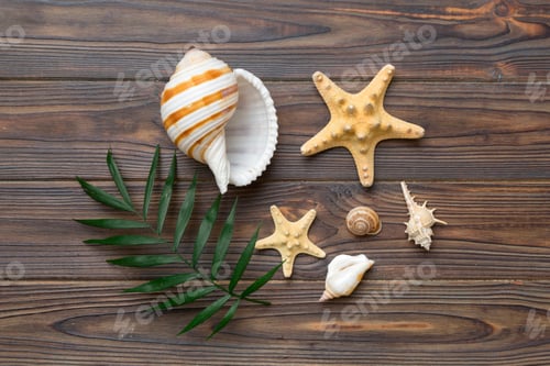 Preview: Summer time concept Flat lay composition with beautiful starfish and sea shells