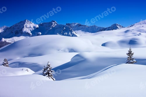 Preview: Deep snow covered landscape and fir trees, Arosa, Switzerland