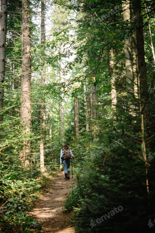 Preview: beautiful happy stylish traveling girl in the mountains on a background of a forest