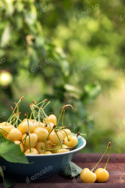 Preview: Yellow cherry in a bowl