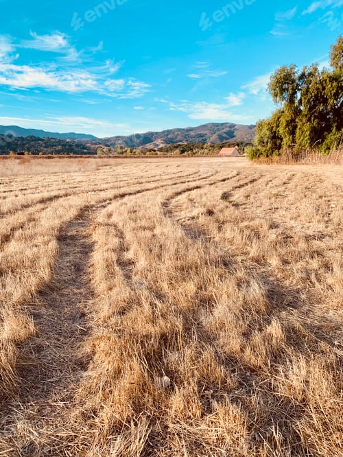 Preview: Field of Dry Grass with Distant Mountains