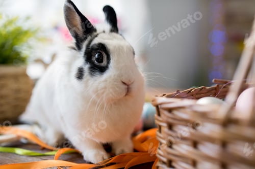 Preview: Cute Easter Bunny