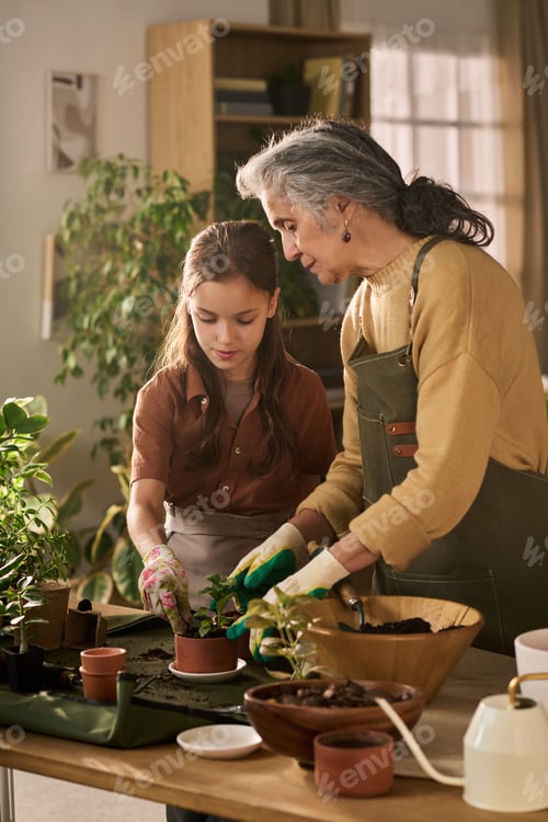Preview: Senior Woman Guiding Young Girl Planting Seedlings Indoors