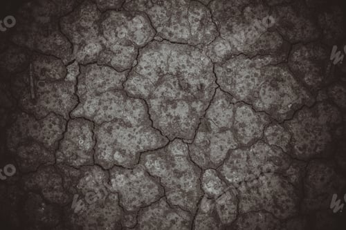 Preview: Surface of a grungy dry cracking parched earth for textural background.