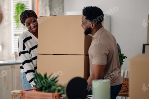 Preview: Happy couple carrying boxes into new home