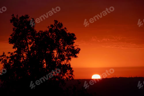 Preview: sun