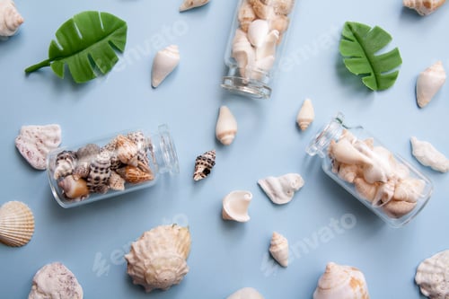 Preview: Flat lay seashells, mini bottles, tropical leaves. The concept of the sea, vacation, travel
