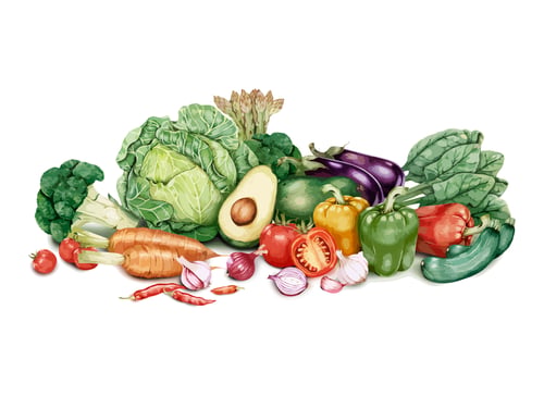 Preview: Hand drawn batch of vegetables