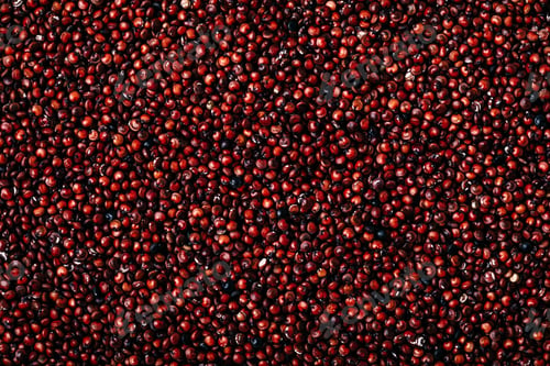 Preview: Quinoa. Raw red quinoa seeds background. Food background texture top view