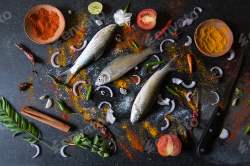 Preview: Raw fish on a black background