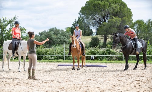 Preview: riding girl and horse