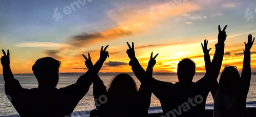 Preview: Friends celebrate together against a beautiful sunset. Happy joyous group of adults