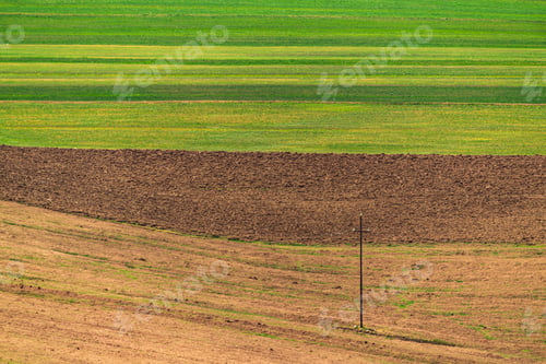 Preview: Landscape with green plowed farm fields