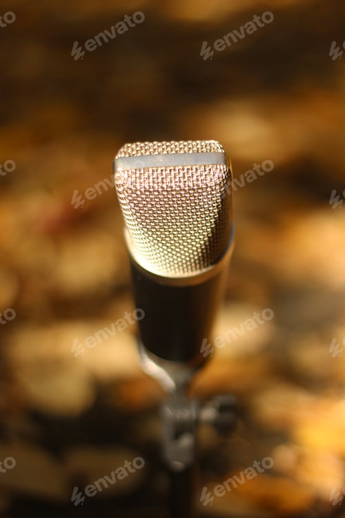 Preview: Microphone