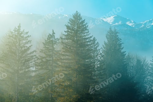 Vorschau: Wunderschöne Landschaft des Triglav-Nationalparks in Slowenien