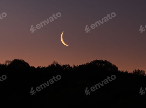 Preview: View of the crescent moon over the silhouette of the trees in a park