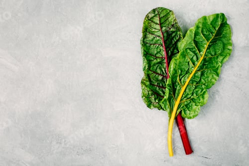 Preview: Fresh raw swiss rainbow chard leaves on gray stone background.