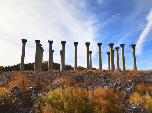 Preview: Low angle shot of the United States National Arboretum Washington the USA